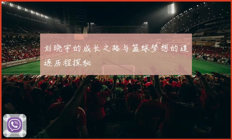 刘晓宇的成长之路与篮球梦想的追逐历程探秘