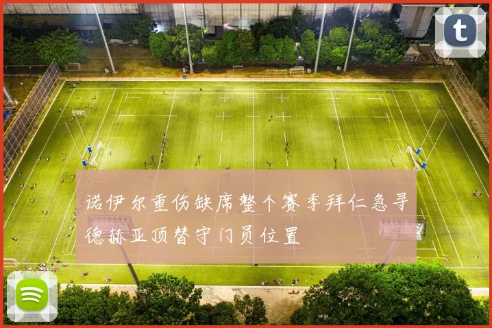 诺伊尔重伤缺席整个赛季拜仁急寻德赫亚顶替守门员位置