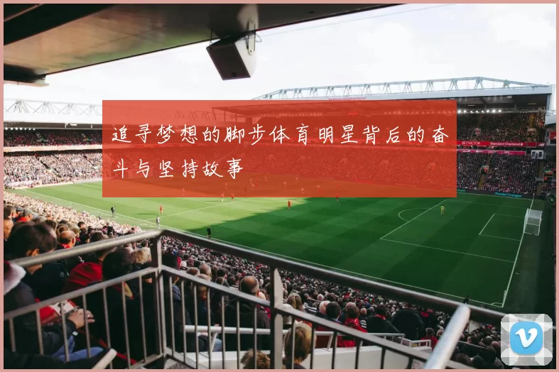 追寻梦想的脚步体育明星背后的奋斗与坚持故事