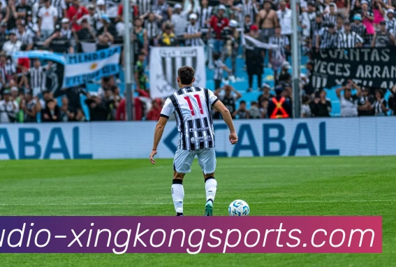 星空体育发展历程