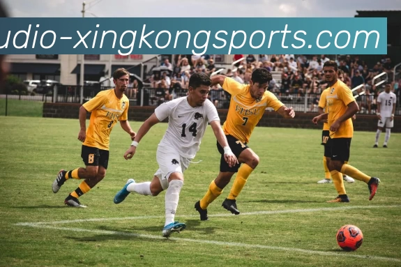 拉波尔特的传奇人生与科学贡献探索之旅